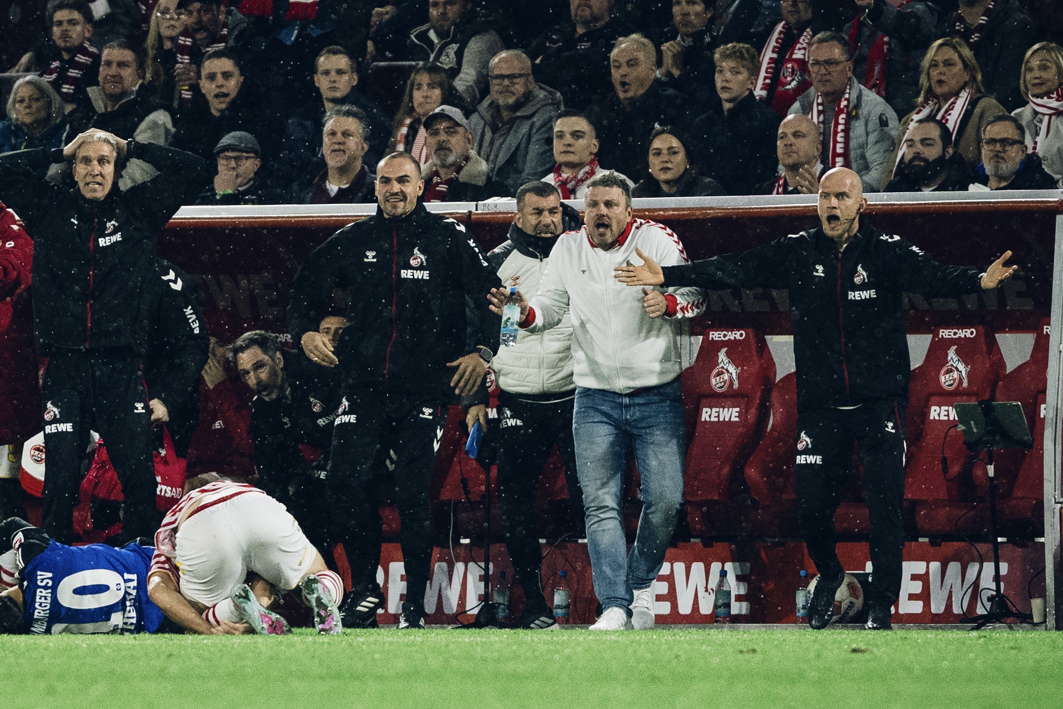 1.FC Köln, Abstieg, Klassenerhalt, Effzeh, Lukas Kwasniok, Köln, Bundesliga, Team, Derby